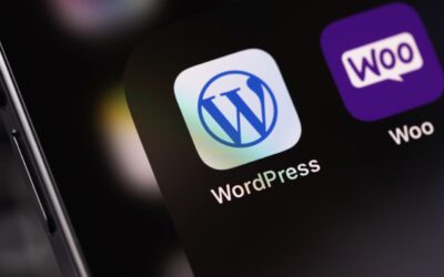 Maximising WooCommerce potential: The power of hosting and DIVI integration